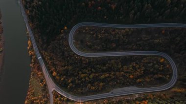 Kargo Otobüsü 'nün hava aracı görüntüsü Batı Ukrayna' daki bir yılan ormanı dağ yolunda ilerliyor. Ulaşım, Seyahat, Teslimat Konsepti.