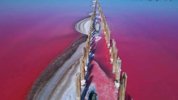 Вид Зверху Повітря Відкладення Кам Яної Солі Рожевому Озері Також — стокове відео