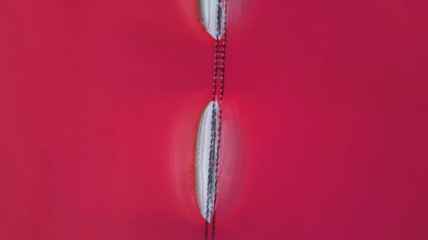 Повітряний Вид Зверху Красиве Рожеве Солоне Озеро Глибокою Барвистою Поверхнею — стокове відео