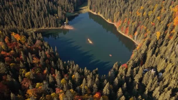 Letecké Záběry Letu Dronu Nad Slavným Alpským Jezerem Sinevir Zelené — Stock video