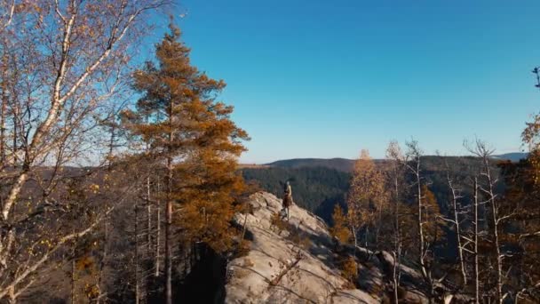 空中映像2人のハイカーが腕を上げて崖の上に立っている 男性と女性の旅行者は カルパチア山脈 ウクライナで素晴らしい景色を楽しんでいます 幸せな女の子と男が一緒に風景を楽しむ — ストック動画