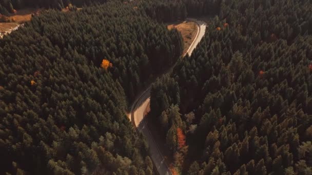乌克兰西部一条蜿蜒的森林山路上 无人驾驶飞机俯瞰着汽车和货车 派递概念 — 图库视频影像