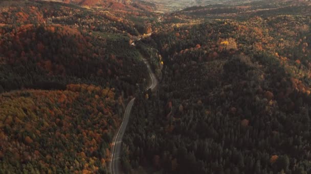 空中无人机视图 飞越松树林和乡间道路 山村的Vith房子为背景 喀尔巴阡山 乌克兰 摄像头打开了 4K动议 — 图库视频影像