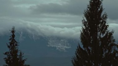Kamera, bulutların arasında dağdaki karanlık ormanla birlikte güzel sisli araziyi yakınlaştırıyor. Esrarengiz yoğun sisteki kozalaklı ağaçlarla kasvetli atmosfer manzarası.