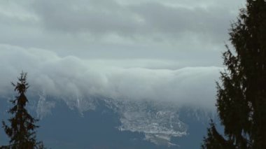 Güzel, sisli, karanlık ormanlı bir dağ alçak bulutların arasında. Esrarengiz yoğun sisteki kozalaklı ağaçlarla kasvetli atmosfer manzarası.