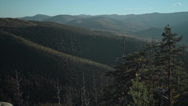 Vista Panorámica Las Hermosas Montañas Los Cárpatos Con Laderas Cubiertas — Vídeos de Stock