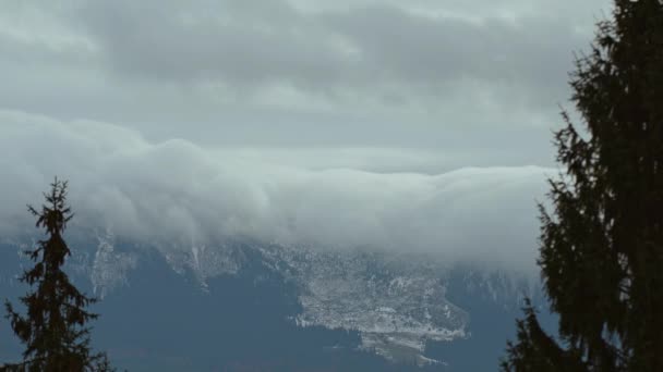 Όμορφο Ομιχλώδες Τοπίο Σκοτεινό Δάσος Στο Βουνό Ανάμεσα Χαμηλά Σύννεφα — Αρχείο Βίντεο