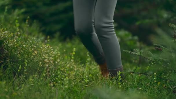 Közeli Női Bérlők Lábak Sárga Túracipőben Sétál Szabadban Nedves Zöld — Stock videók