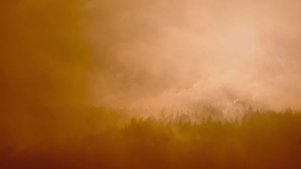 Piękny Mglisty Krajobraz Ciemnym Lasem Górze Wśród Niskich Chmur Mroczne — Wideo stockowe