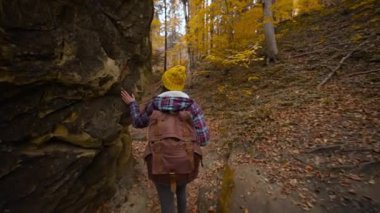 Kamera, sırt çantalı Gezgin Kadın 'ı yeşil yosunlu büyük bir taşa dokunurken takip ediyor. Doğayı Sevmek. Sonbahar orman yürüyüşünde Ahenk Sakinliği. Hafta sonu dijital detoks yürüyüşü.