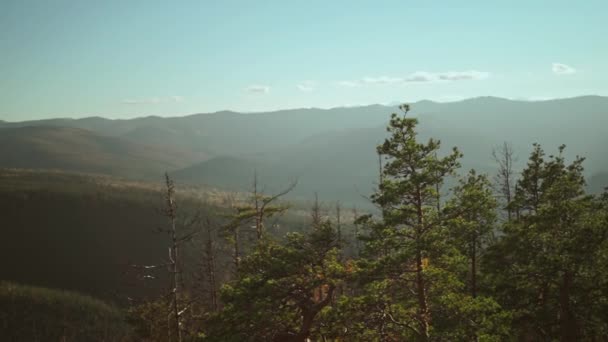 Beautiful Mountains Landscape Spruce Trees Foreground Clear Autumn Sunset Carpathian — Stock Video