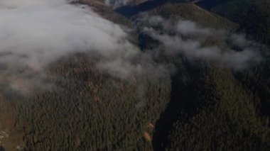 Güneşin doğuşuyla birlikte vadinin tepelerinde süzülen sisli hava manzaralı karanlık orman zamanı. Dağlardaki bulutlu ormanın üzerinden İHA uçuşu.