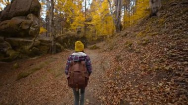 Yavaş çekim geniş açı görüntüsü hippi kadın Ukrayna 'da sarı yapraklı ormanda yürüyüş yapıyor. Sırt çantalı bayan yürüyüşçü, harika bir sonbahar ormanında yosunlu taşlarla. Tustan Milli Parkı