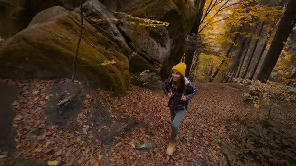 천천히 각도에서 여행자는 우크라이나에 노란색 잎사귀들이 속에서 하이킹을 가방을 여자가 — 비디오