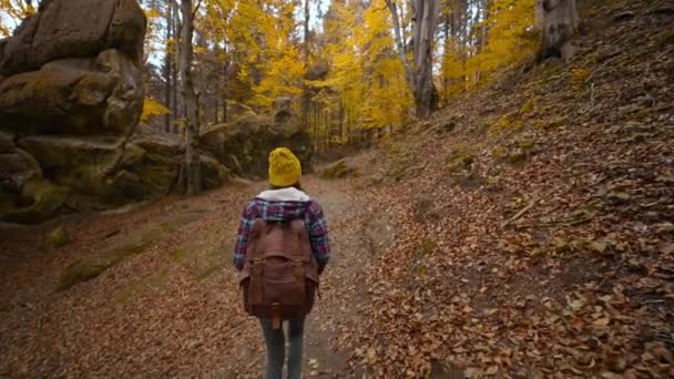 Slow Motion Wide Angle Footage Woman Hipster Traveler Hikes Woods — Stock Video