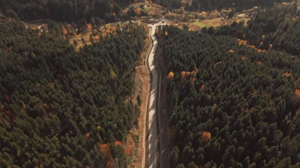 空中无人机视图 飞越松树林和乡间道路 山村的Vith房子为背景 喀尔巴阡山 乌克兰 摄像头打开了 4K动议 — 图库视频影像