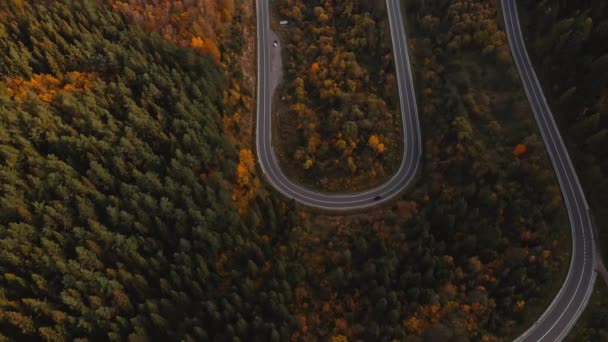 Letecký Bezpilotní Pohled Auto Pohybuje Podél Hadovité Lesní Horské Silnice — Stock video