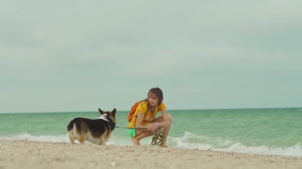 Attractive Young Woman Spending Time Together Her Pet Cute Corgi — Vídeo de stock