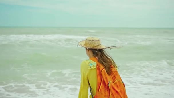 Vista Panorámica Hermosa Playa Del Océano Con Olas Cielo Nublado — Vídeo de stock