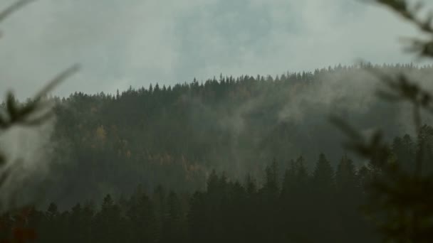 Nebelige Nebellandschaft Mit Dunklem Wald Auf Dem Berg Zwischen Niedrigen — Stockvideo