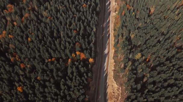 Tepeler Arasında Yeni Yapılmış Asfalt Yol Yeşil Turuncu Ağaçlar Ukrayna — Stok video