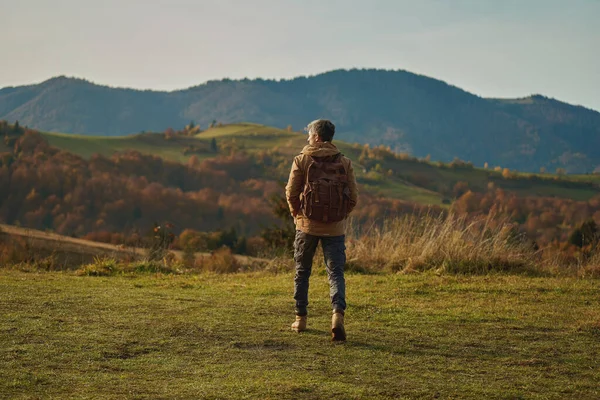 Back View Tourist Adventurous Man Backpack Stands Mountain Meadow Enjoys — 스톡 사진