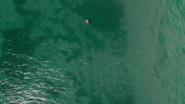 Sakin turkuaz deniz suyunun ve yüzen sarı yüzme halkasının üzerinde yüzen güzel, rahat kadının havadan görünüşü. Yaz mevsimi panoramik görüntüleri