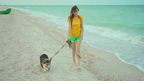 快乐的微笑的女孩在户外玩耍 和她的宠物可爱的科吉狗在一起 概念慢慢地生活 — 图库视频影像