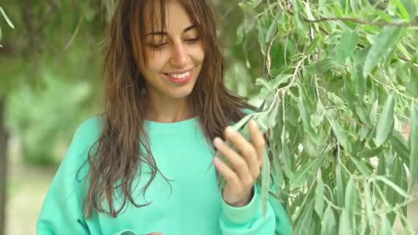 迷人的黑发女人面带微笑站在绿油油的橄榄树旁 面带微笑 看上去很高兴 穿着绿松石运动衫的女孩在玩树叶 自然景观概念 — 图库视频影像