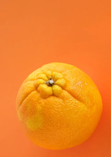 Eine Große Reife Orange Mit Rauer Schale Auf Orangefarbenem Hintergrund — Stockfoto