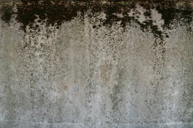 Taş duvar dokusu, zemin, beton yıkım, yosun ve antika çimlerle kaplanmış bina takviyesi, tavan, cips, boya lekeleri.