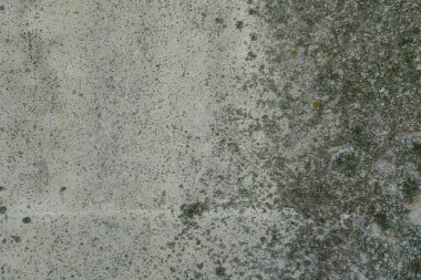 Taş duvar dokusu, zemin, beton yıkım, yosun ve antika çimlerle kaplanmış bina takviyesi, tavan, cips, boya lekeleri.