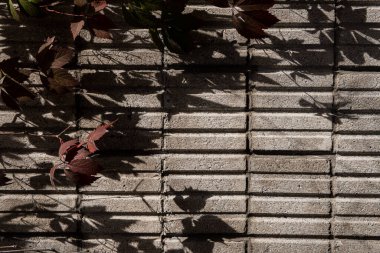 Tuğla duvar dokusu, çatı katı tarzı, beton ve taşın tahrip edilmesi, antik aşınma, bina zemininin temelleri, yongalar, çatlaklar.