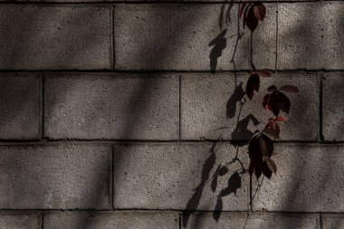 Tuğla duvar dokusu, çatı katı tarzı, beton ve taşın tahrip edilmesi, antik aşınma, bina zemininin temelleri, yongalar, çatlaklar.