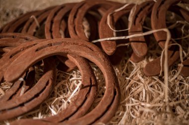 Çikolatadan yapılmış araç figürleri Lviv, Ukrayna 'dan satın almak için çok popüler..