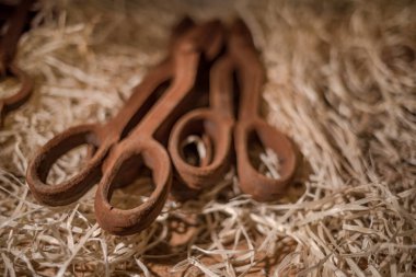 Çikolatadan yapılmış araç figürleri Lviv, Ukrayna 'dan satın almak için çok popüler..