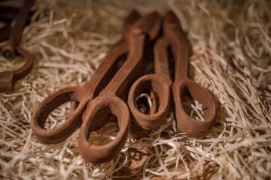 Çikolatadan yapılmış araç figürleri Lviv, Ukrayna 'dan satın almak için çok popüler..