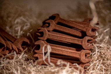 Çikolatadan yapılmış araç figürleri Lviv, Ukrayna 'dan satın almak için çok popüler..