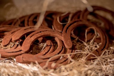 Çikolatadan yapılmış araç figürleri Lviv, Ukrayna 'dan satın almak için çok popüler..