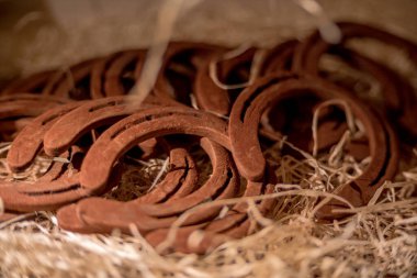 Çikolatadan yapılmış araç figürleri Lviv, Ukrayna 'dan satın almak için çok popüler..