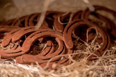Çikolatadan yapılmış araç figürleri Lviv, Ukrayna 'dan satın almak için çok popüler..