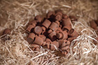 Çikolatadan yapılmış araç figürleri Lviv, Ukrayna 'dan satın almak için çok popüler..