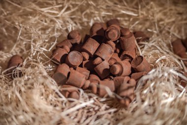 Çikolatadan yapılmış araç figürleri Lviv, Ukrayna 'dan satın almak için çok popüler..