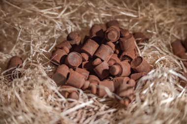 Çikolatadan yapılmış araç figürleri Lviv, Ukrayna 'dan satın almak için çok popüler..