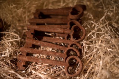 Çikolatadan yapılmış araç figürleri Lviv, Ukrayna 'dan satın almak için çok popüler..