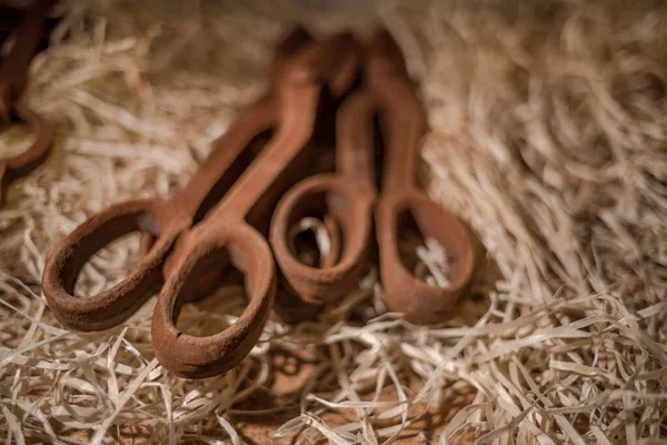 Çikolatadan yapılmış araç figürleri Lviv, Ukrayna 'dan satın almak için çok popüler..
