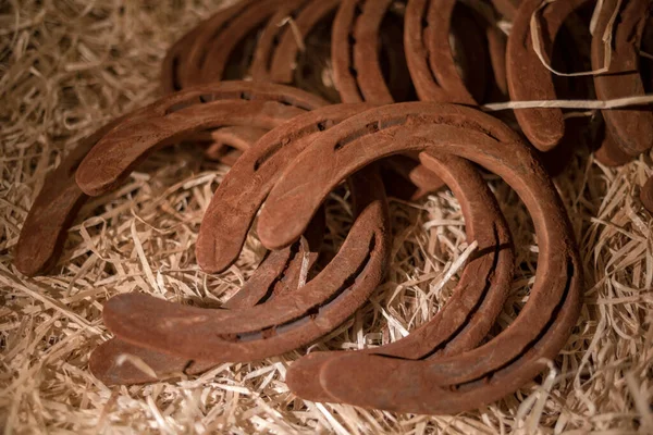 Çikolatadan yapılmış araç figürleri Lviv, Ukrayna 'dan satın almak için çok popüler..