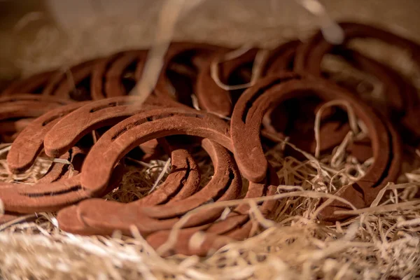 Çikolatadan yapılmış araç figürleri Lviv, Ukrayna 'dan satın almak için çok popüler..