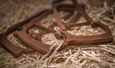 Çikolatadan yapılmış araç figürleri Lviv, Ukrayna 'dan satın almak için çok popüler..