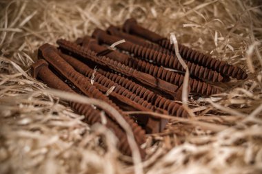 Çikolatadan yapılmış araç figürleri Lviv, Ukrayna 'dan satın almak için çok popüler..